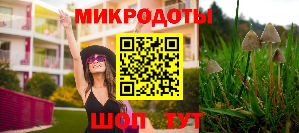 Псилоцибиновые грибы Cubensis Артёмовский